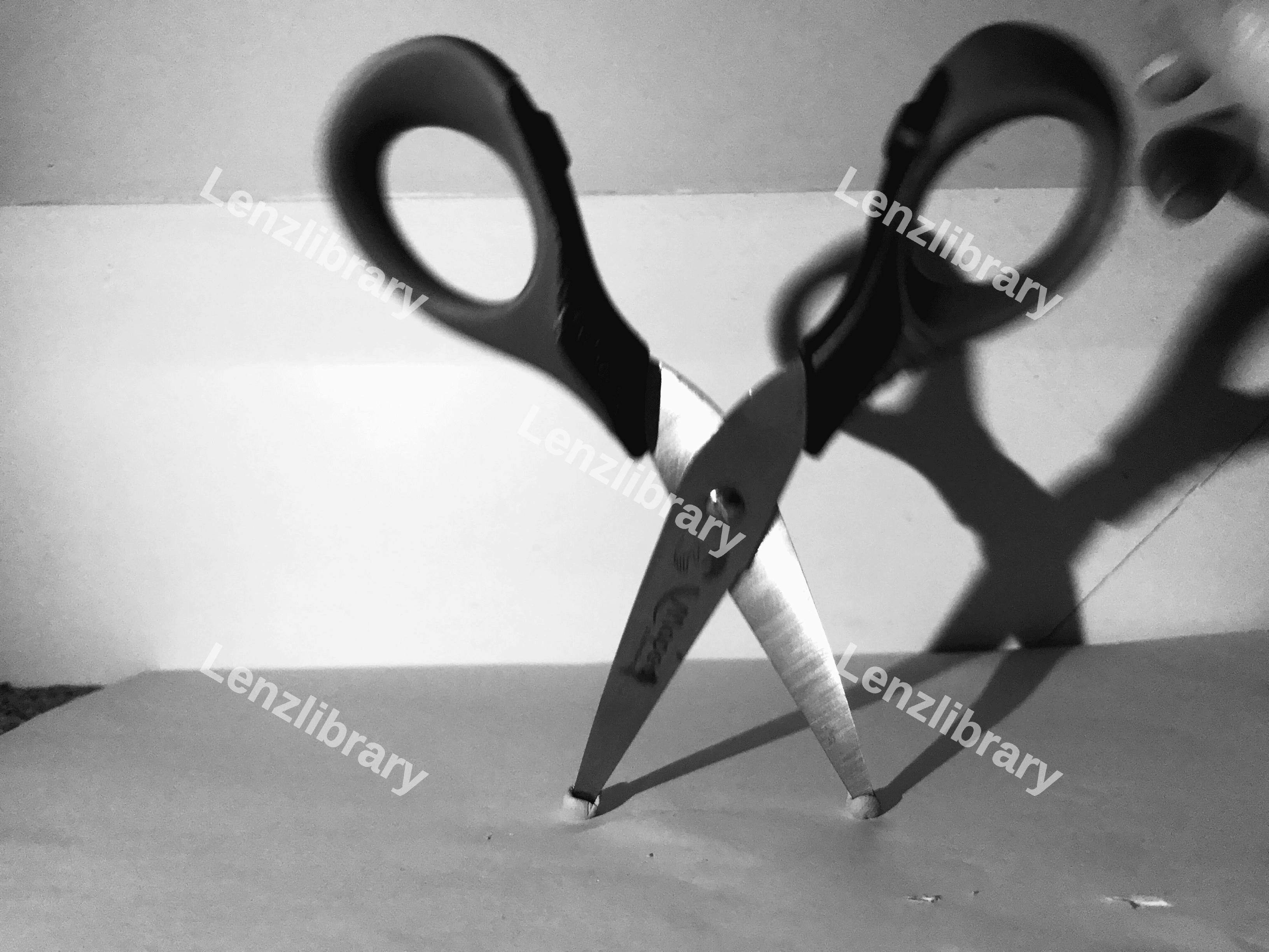 Black And White Pair Of Scissors
